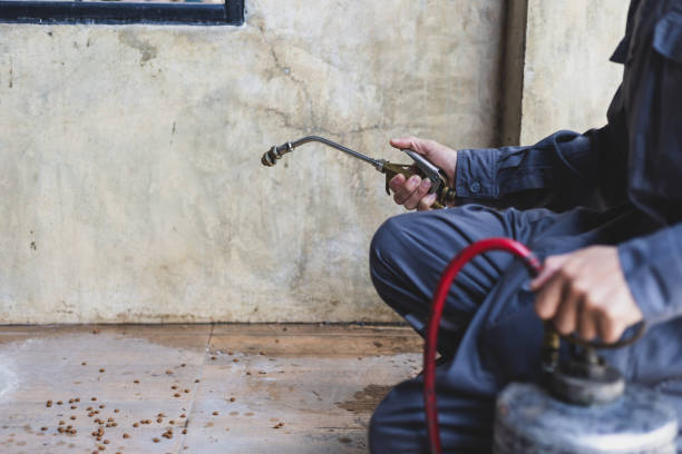 Pest Control Cost in Snoqualmie, WA